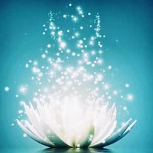 Meet your Posher, Corina